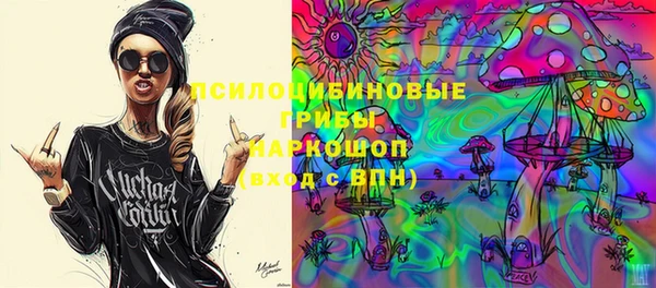 ешки Алзамай
