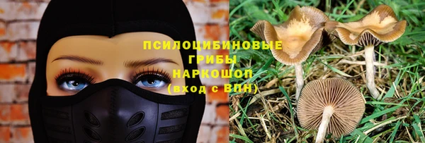 крисы Армянск