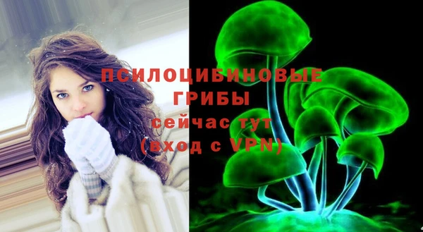 ешки Алзамай