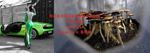 марки lsd Алексеевка