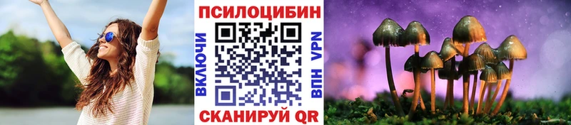 Галлюциногенные грибы ЛСД  купить наркоту  omg   Завитинск 