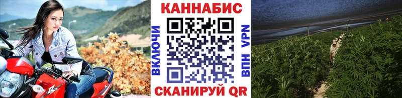 магазин продажи наркотиков  Завитинск  Марихуана LSD WEED 
